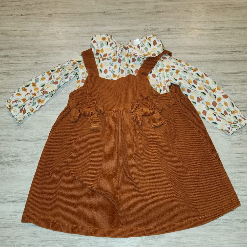 Toddler Girl Fall Outfit/Dress And Shirt Brown Size 3t